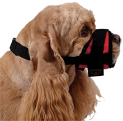 Kaganiec dla psa regulowany r.2(S)(15-24cm)