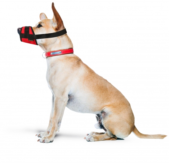 Kaganiec dla psa regulowany r.4(L)(22-30cm)