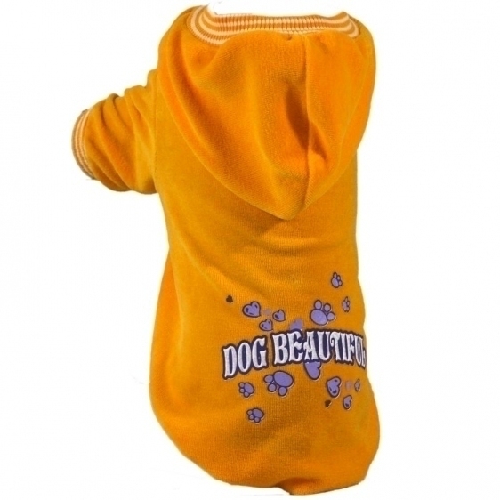 Bluza żółta DOG BEAUTIFUL r.0/1,3 kg